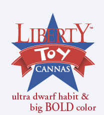 Liberty Toy Cannas