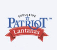 See our Patriot Lantanas
